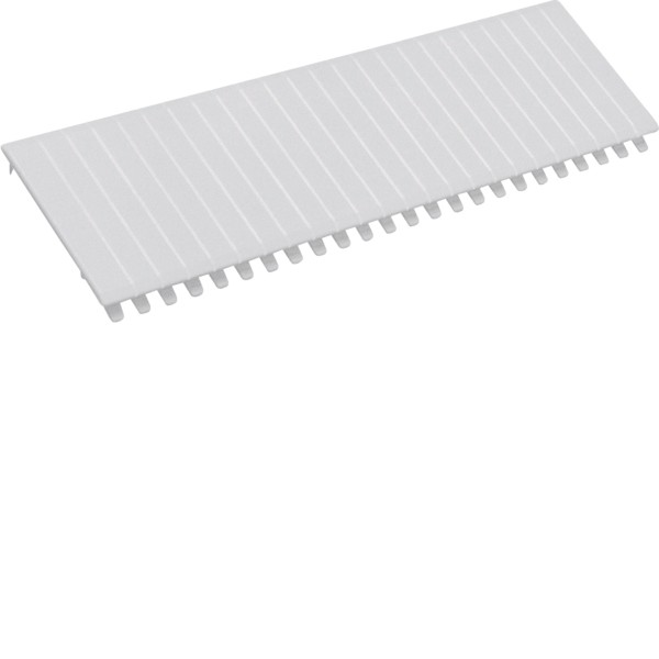 HAGER S35S Hutschienenabdeckung, Abdeckstreifen, univers Z, 219 mm, für 12 PLE, brechbar